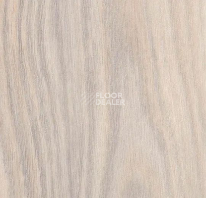 Кварцвиниловые полы Forbo Effekta Intense 40215 P Creme Rustic Oak INT фото 1 | FLOORDEALER